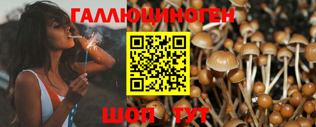 Псилоцибиновые грибы Magic Shrooms Учалы